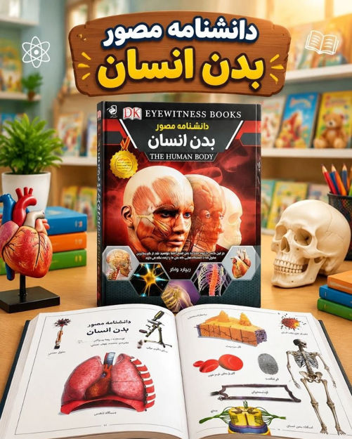 تصویر  کتاب بدن انسان فانوس دانش