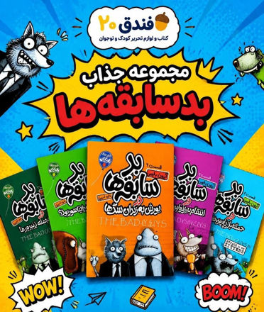 تصویر  کتاب بد سابقه ها